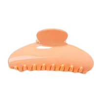 Pretty Lady Pastel Claw Clip